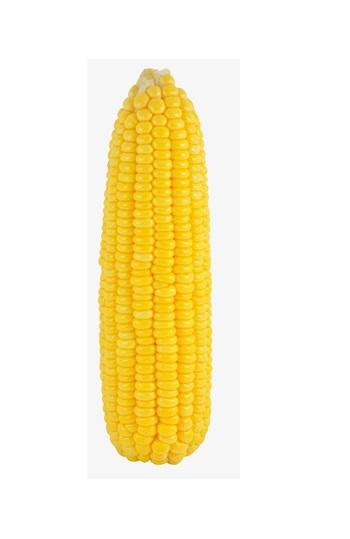 dim-sum-corn