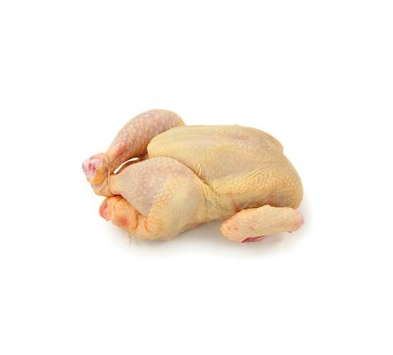 fresh-hormoneless-yellow-skin-free-run-chicken