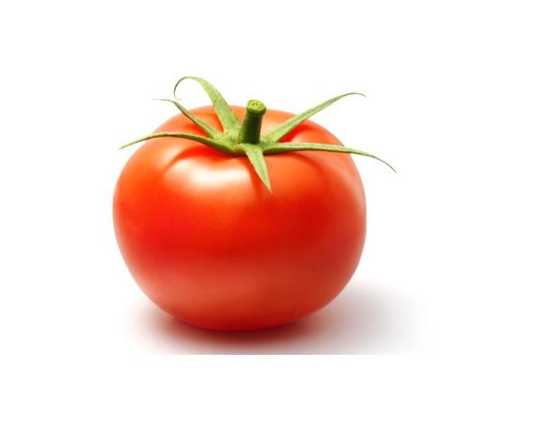 green-house-tomato