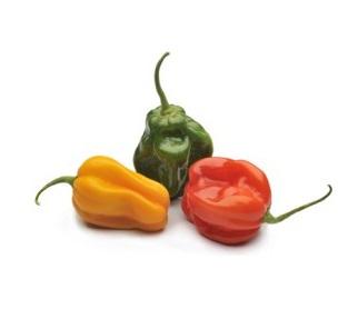 jamlca-pepper