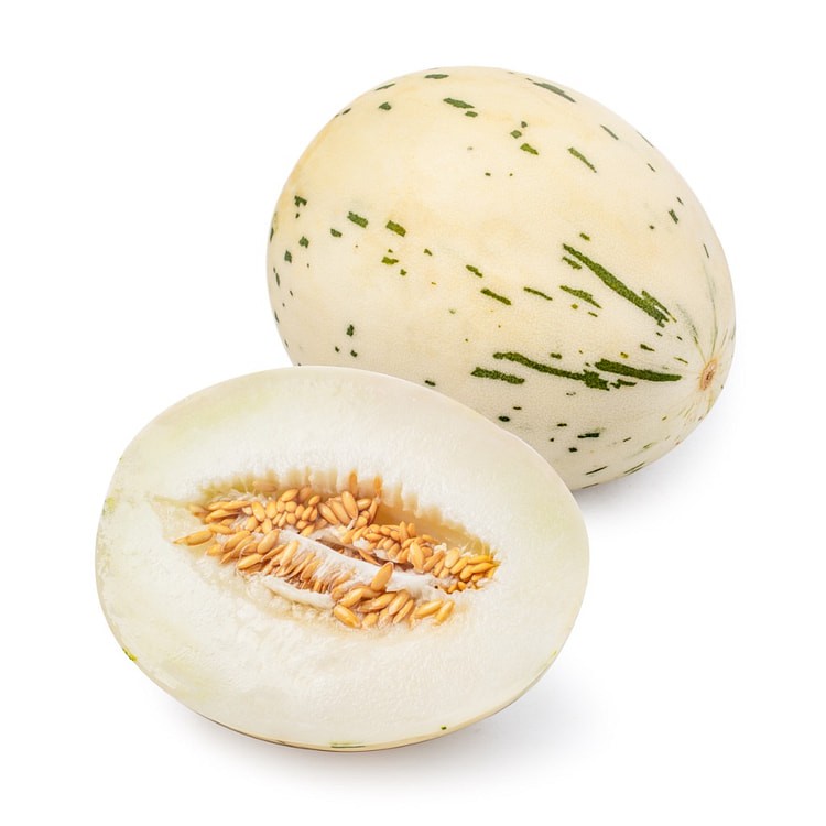 dino-muskmelon