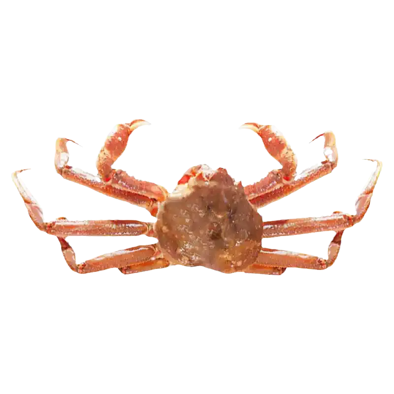 live-ocean-snow-crab-limited-stock