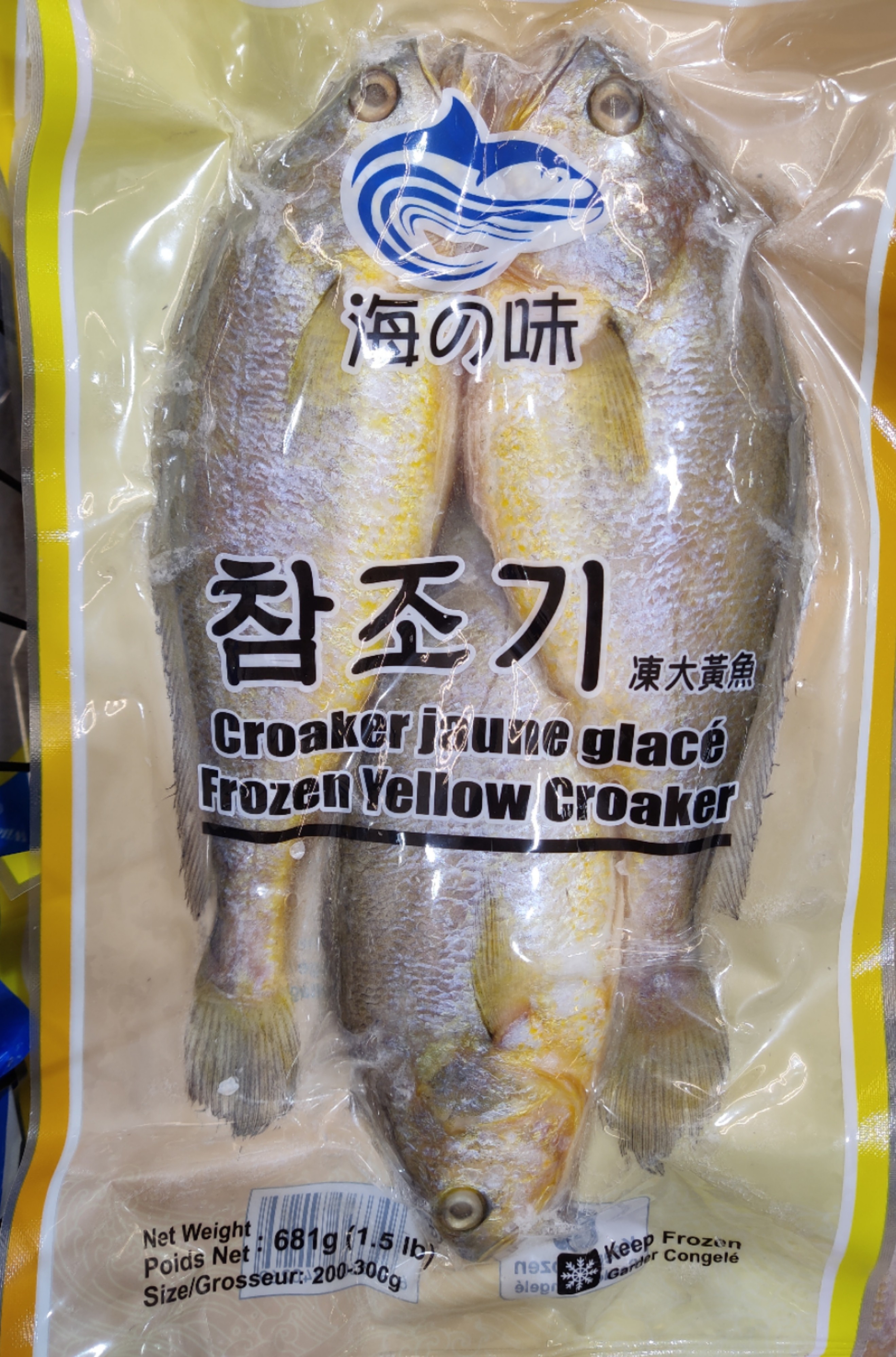frozen-yellow-croaker