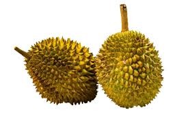 fresh-durian-by-air