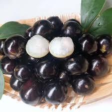 muscadine-grapes