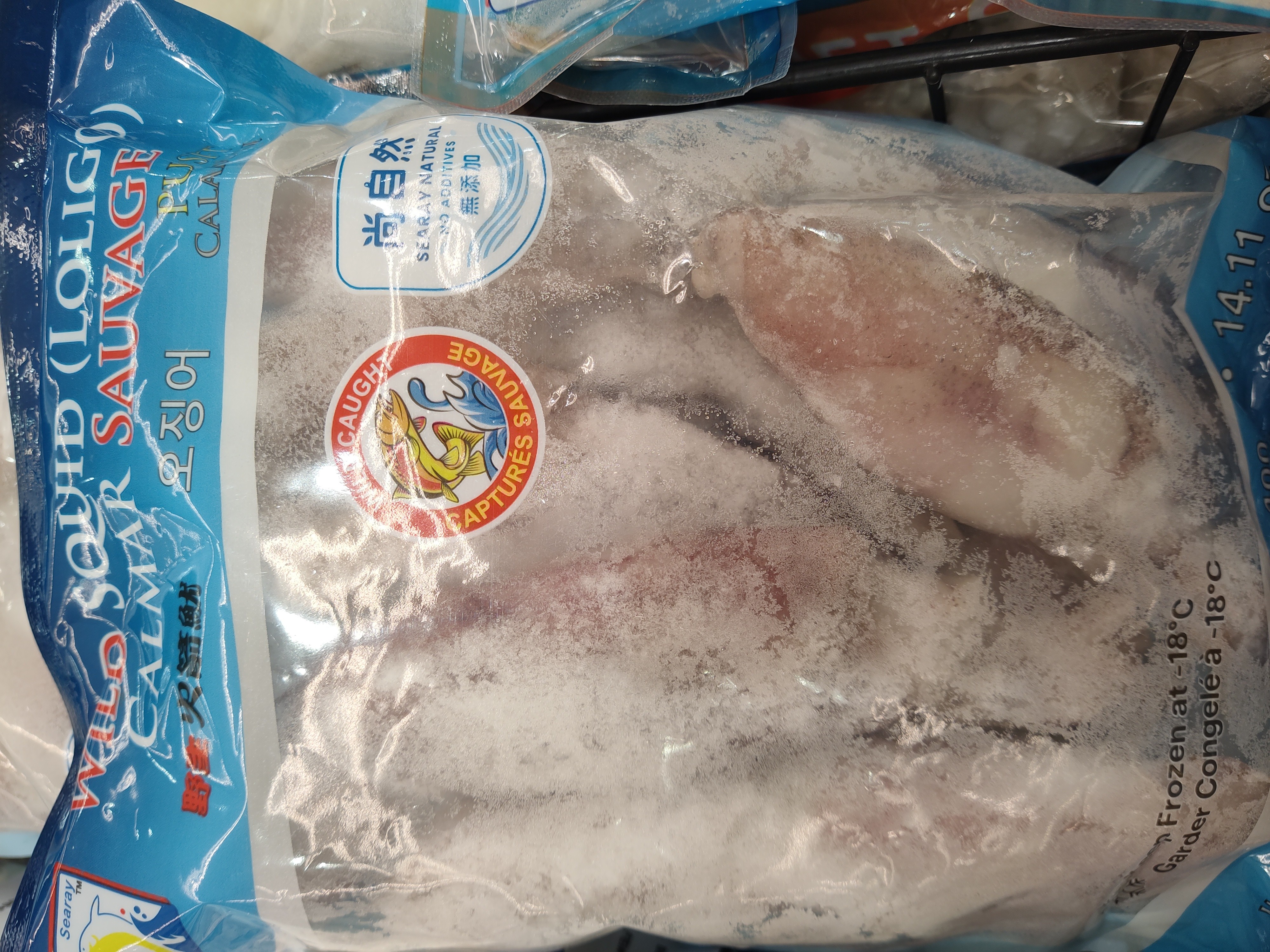searay-loligo-squid-calamari