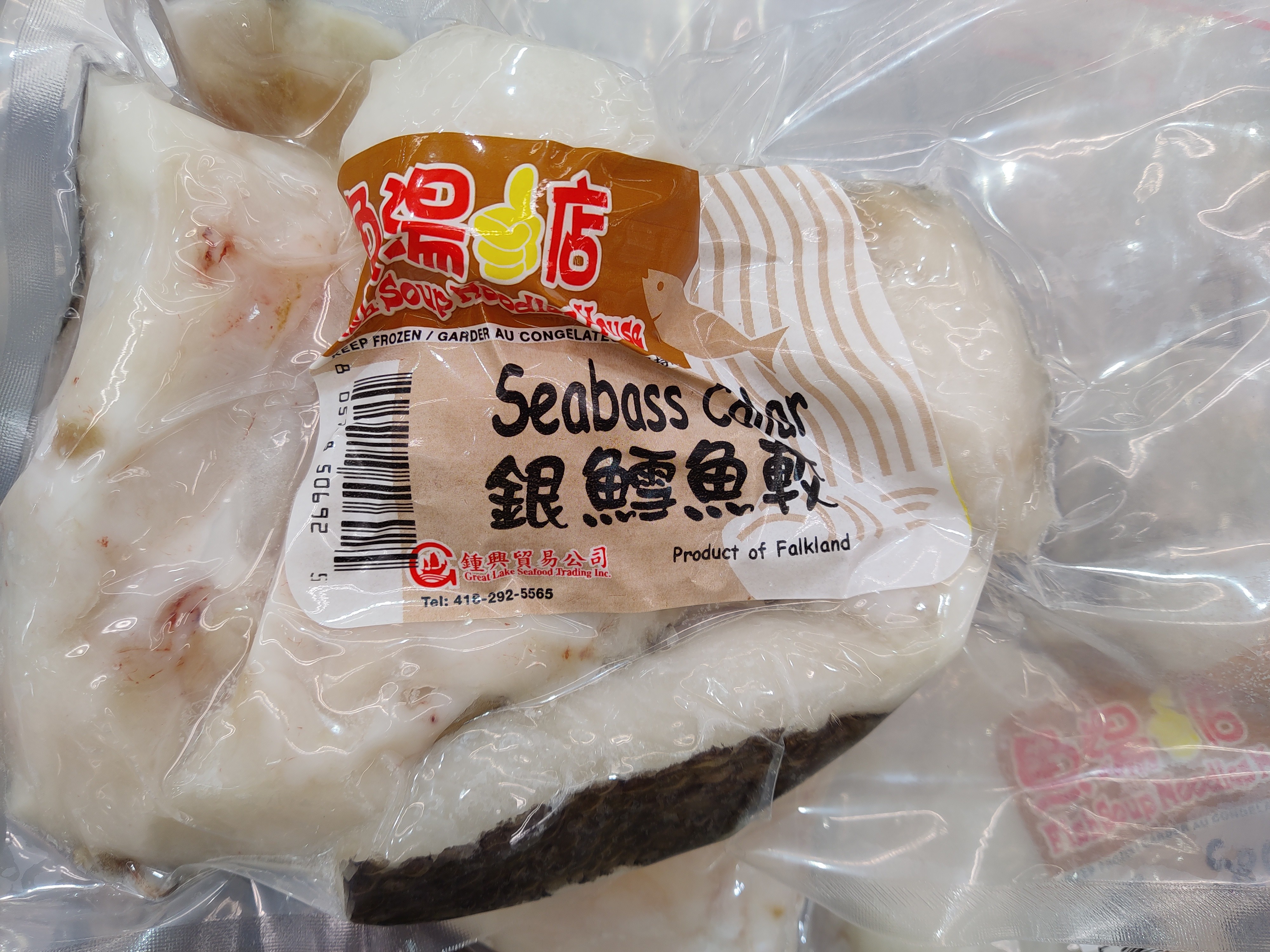 frozen-seabass-collar
