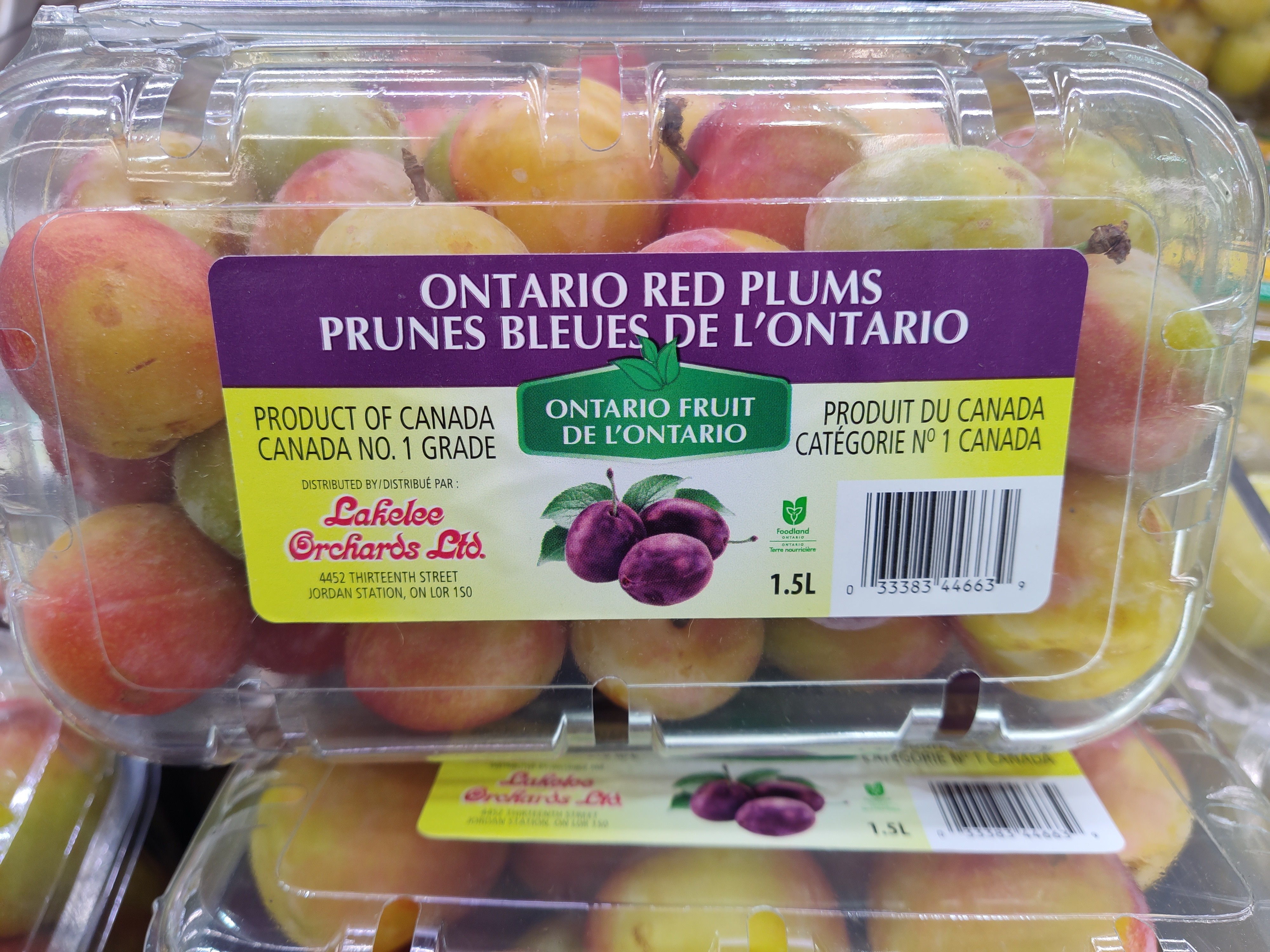 cherry-plum-pack