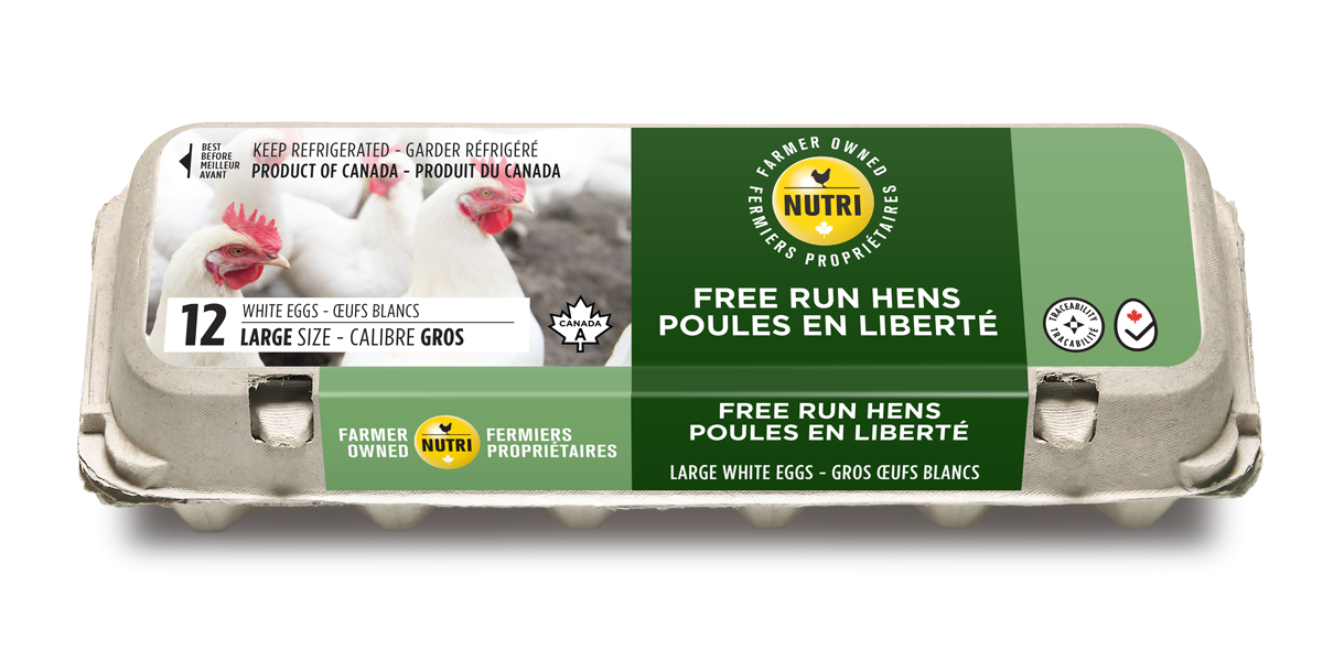 nutri-free-range-hens-large-white-eggs