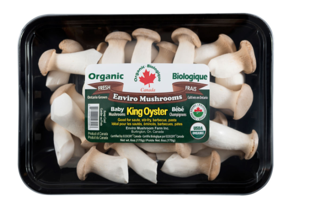 enviro-organic-mini-king-oyster-mushroom-pack