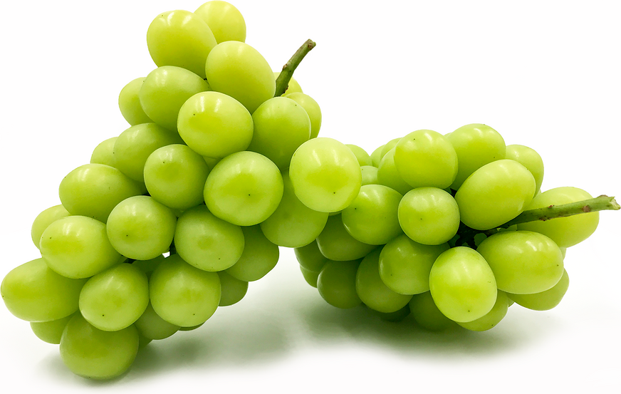 muscat-green-seedless-grapes
