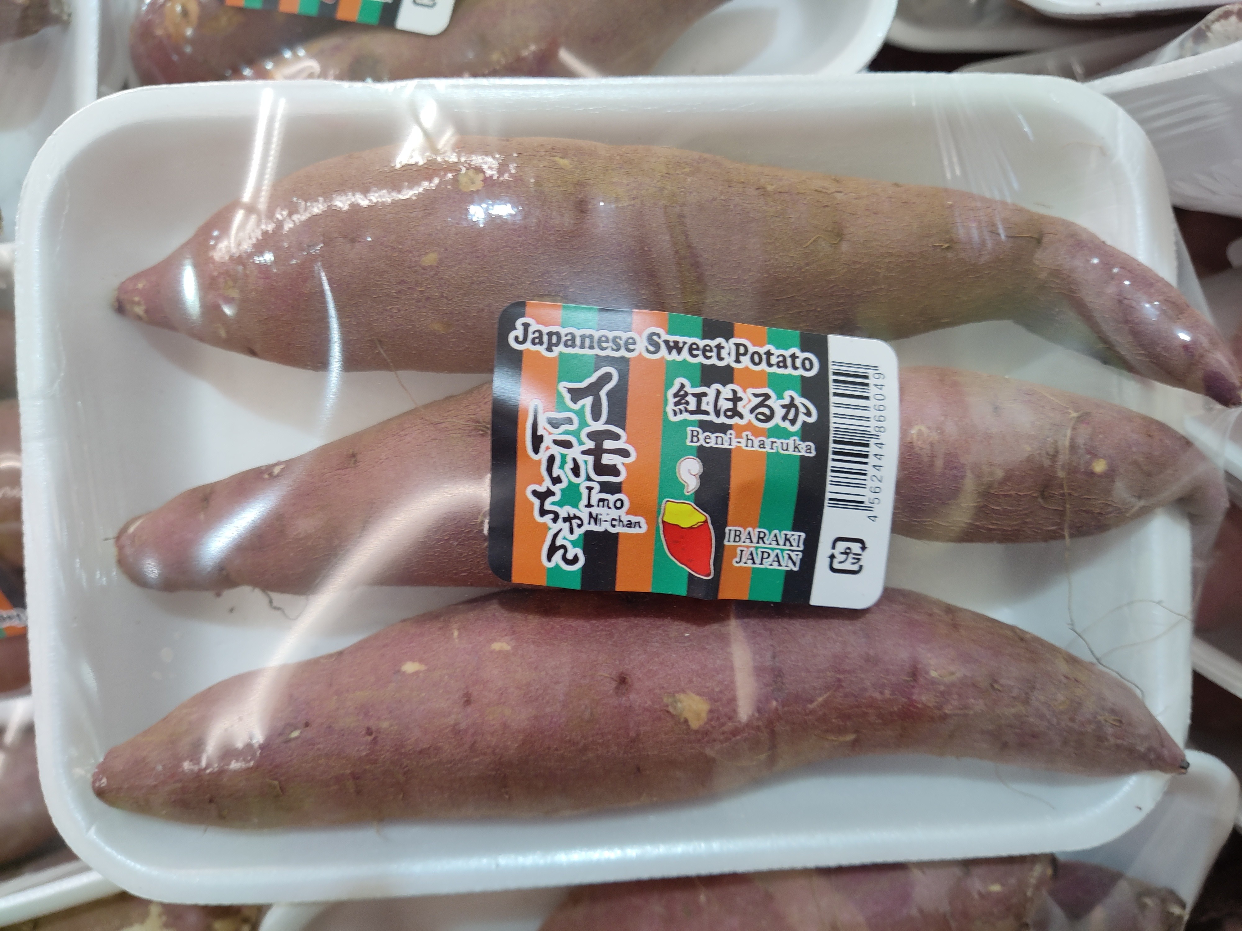 japanese-sweet-potato