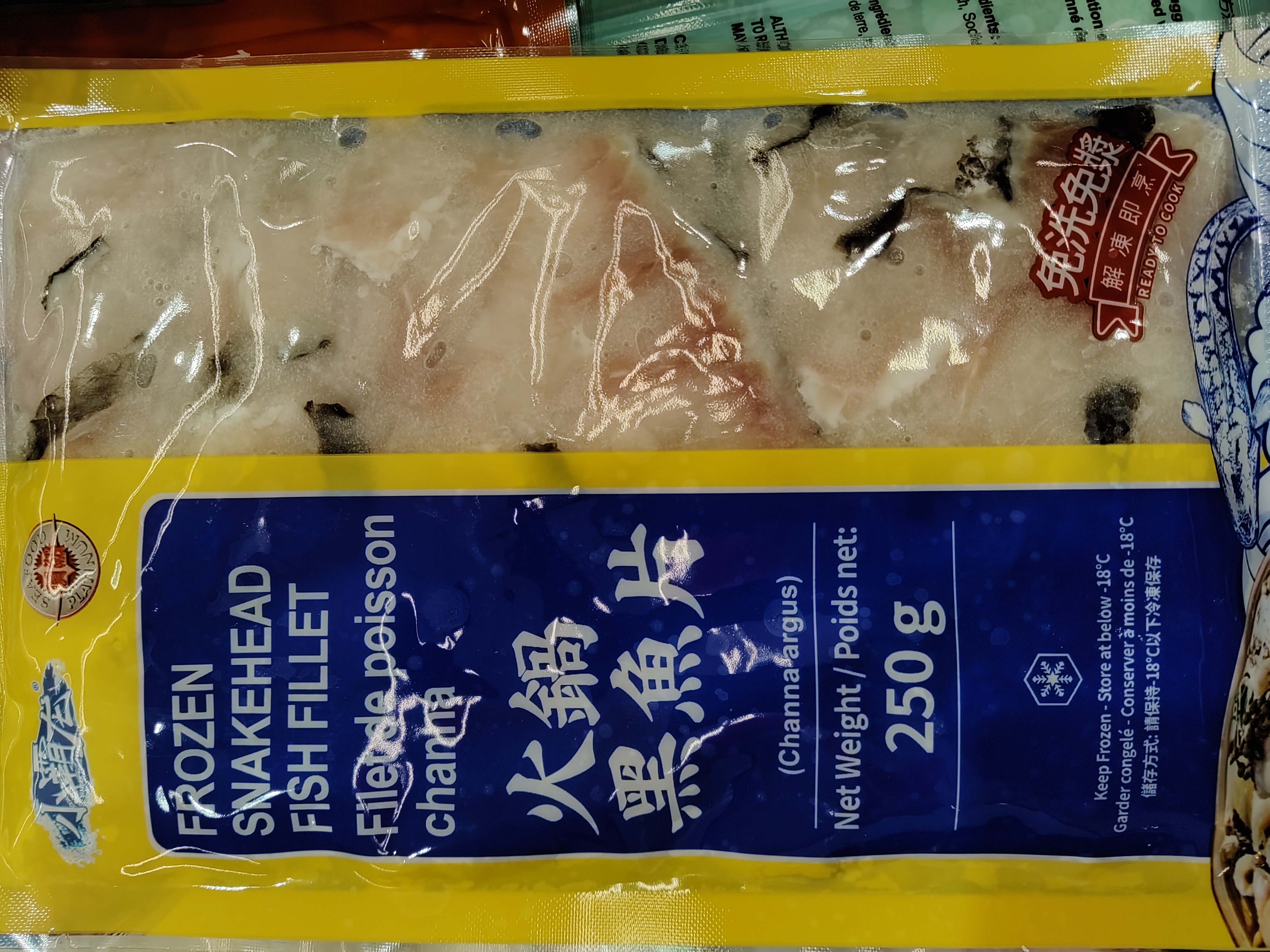 frozen-snakehead-fish-fillets