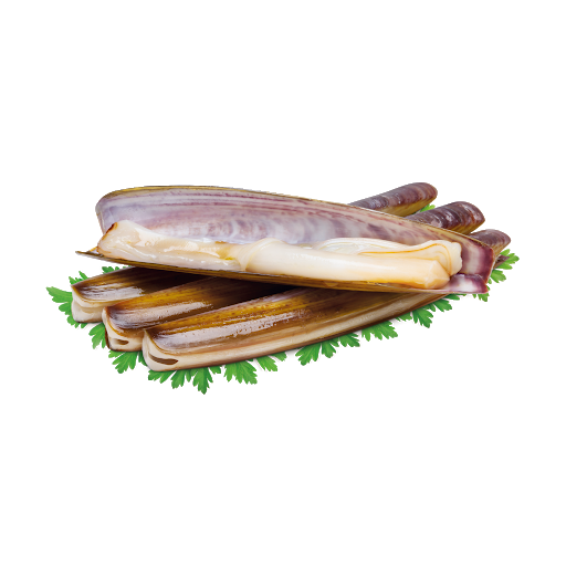 live-razor-clams