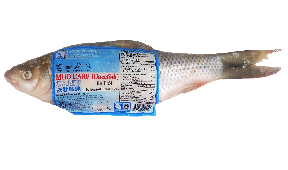 searay-dace-fish