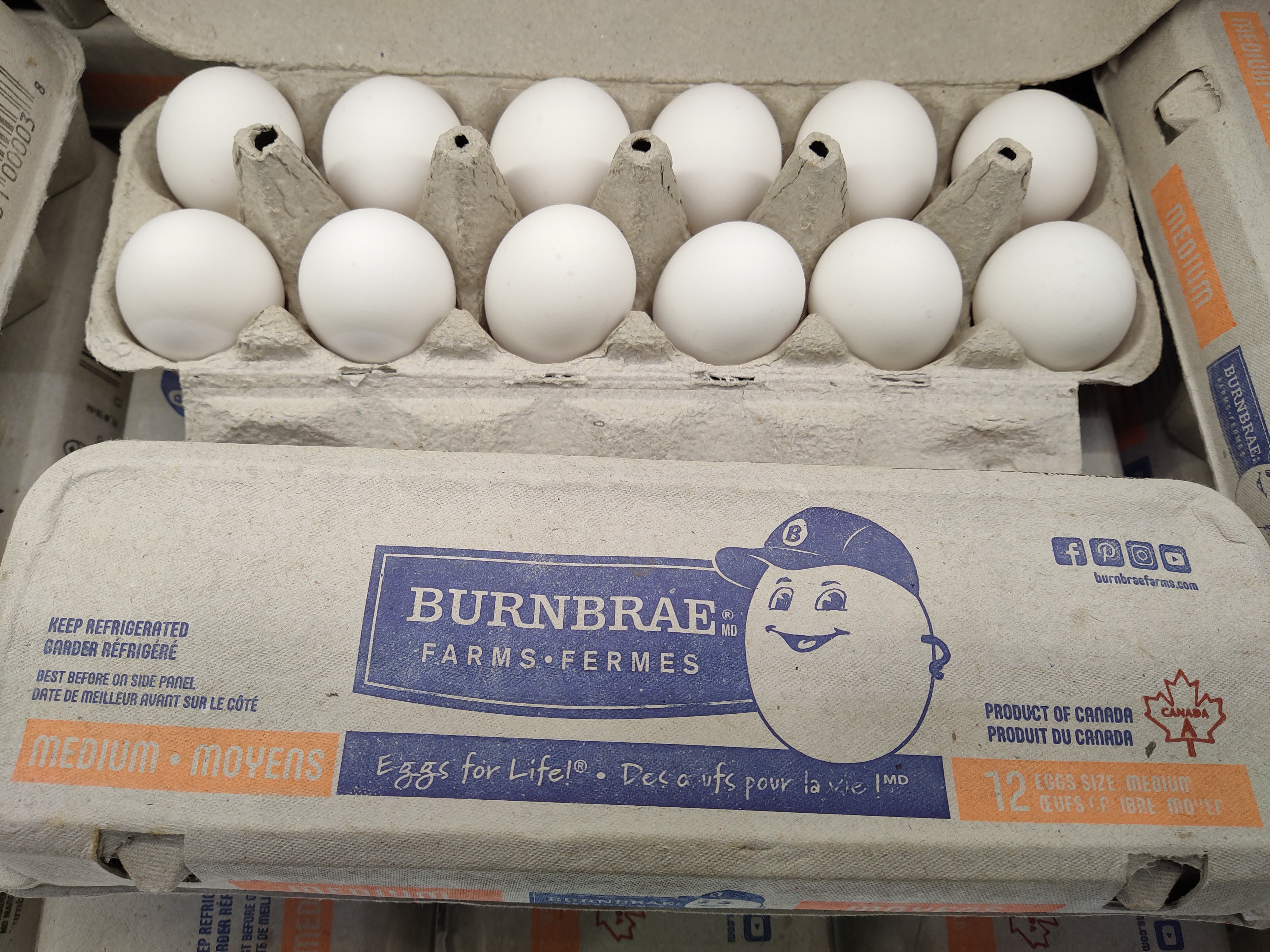 burnbrae-white-egg-medium