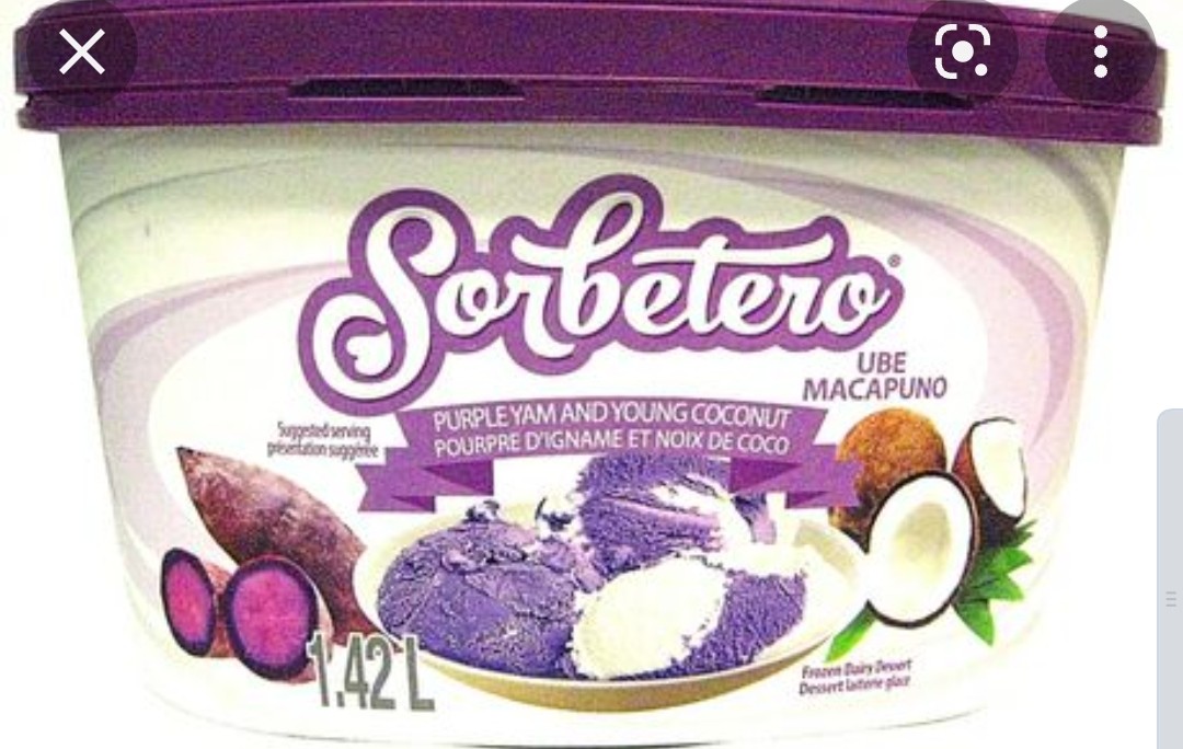 sorbetero-ice-cream-dessert-purple-yam-and-coconut