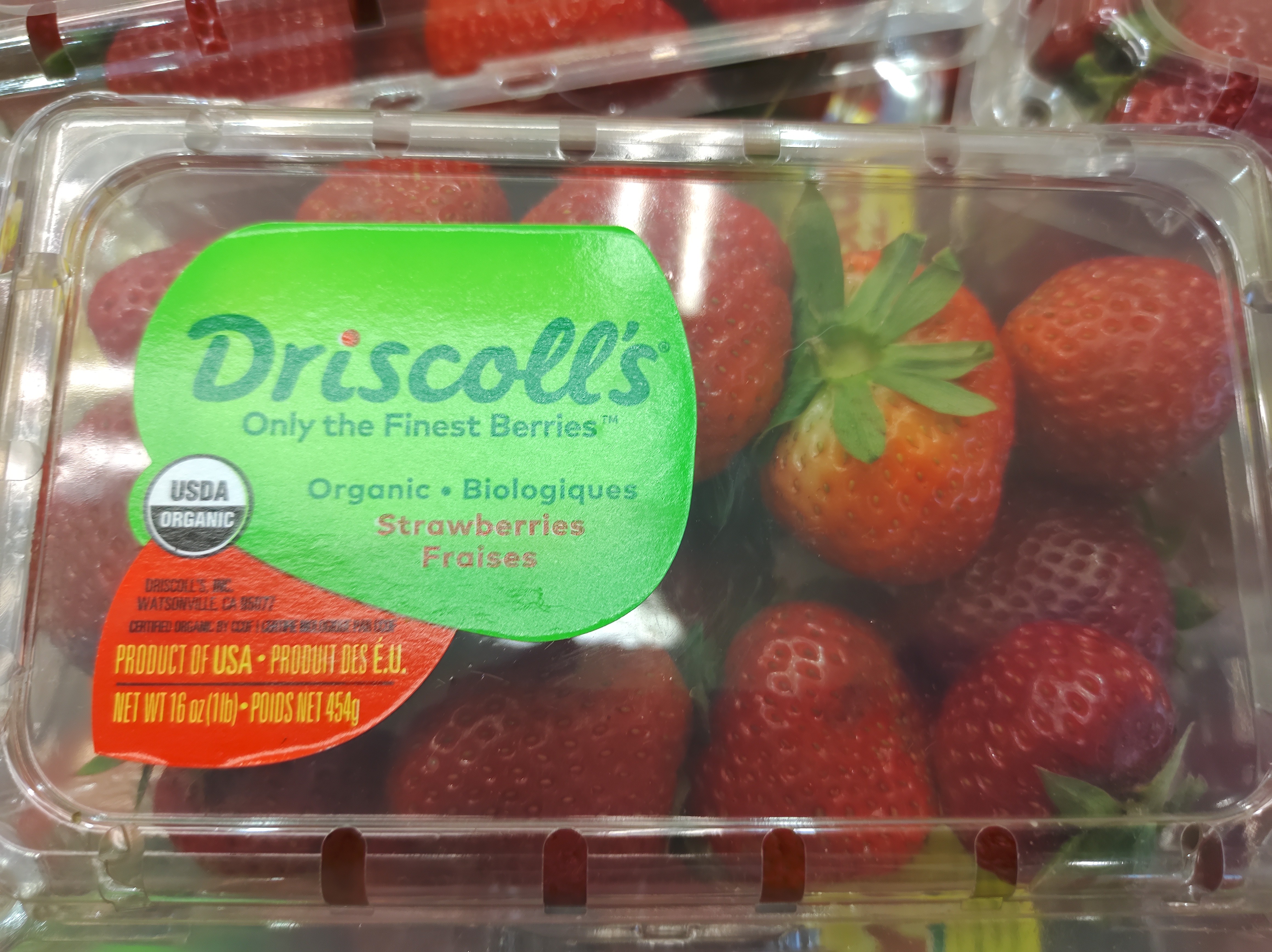 driscolls-organic-strawberry