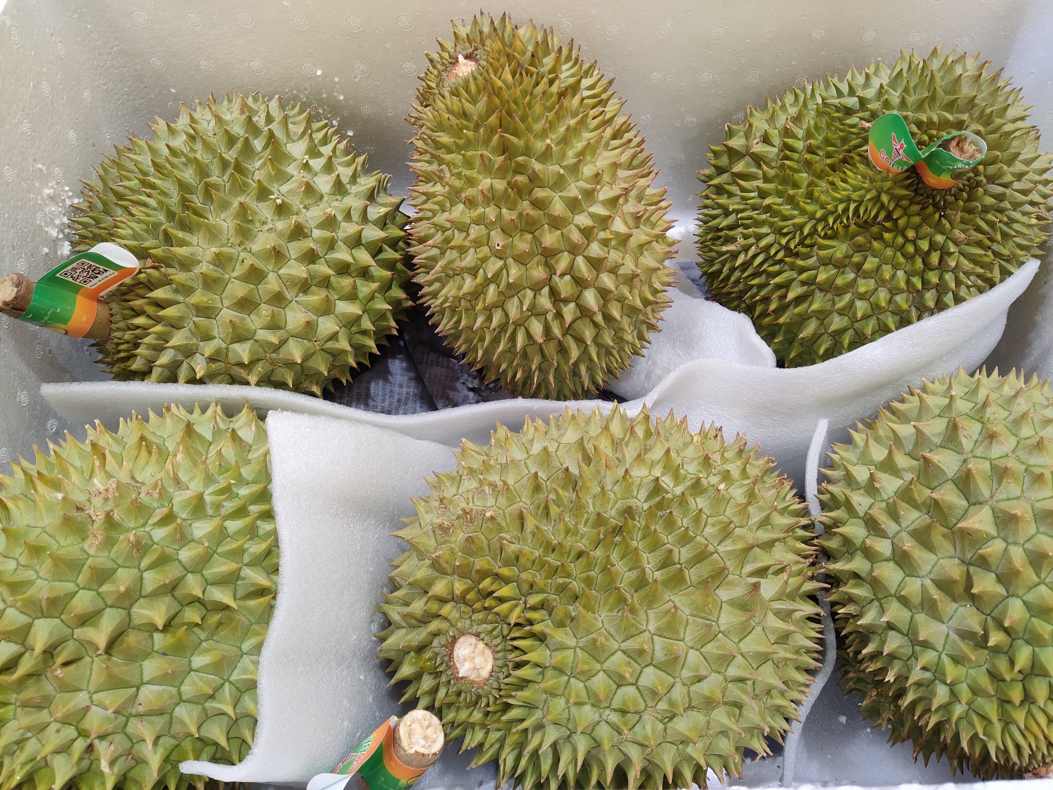 fresh-durian
