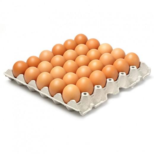 brown-eggs-l