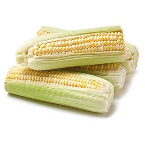 fresh-corn-pack