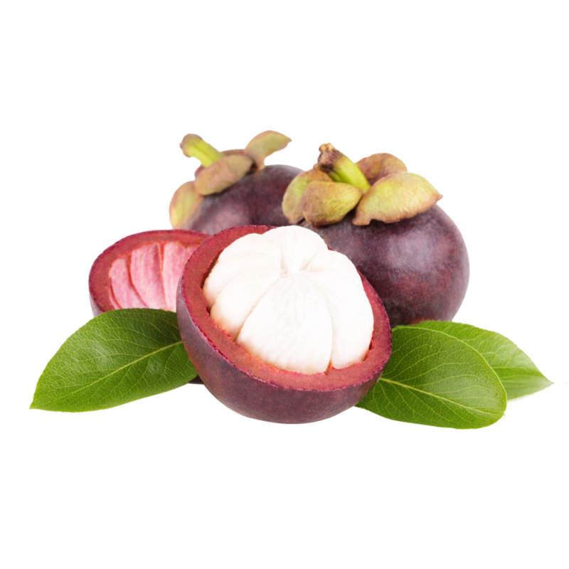 mangosteen