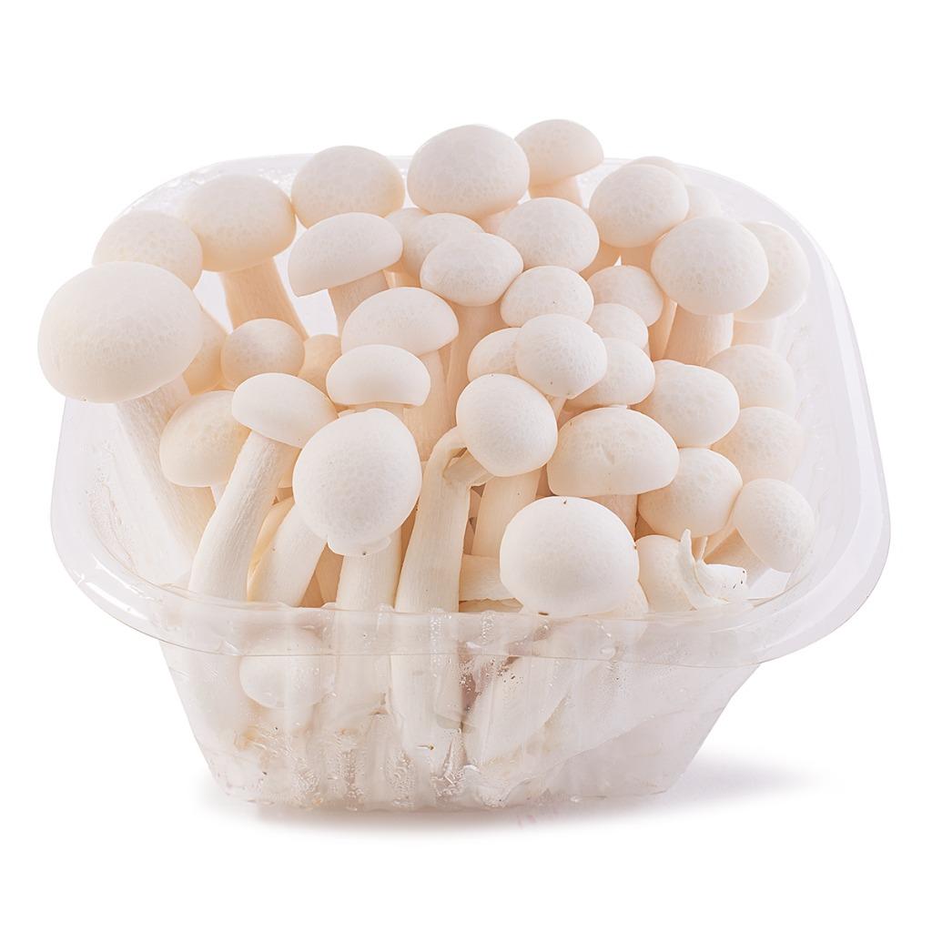 white-beech-mushrooms