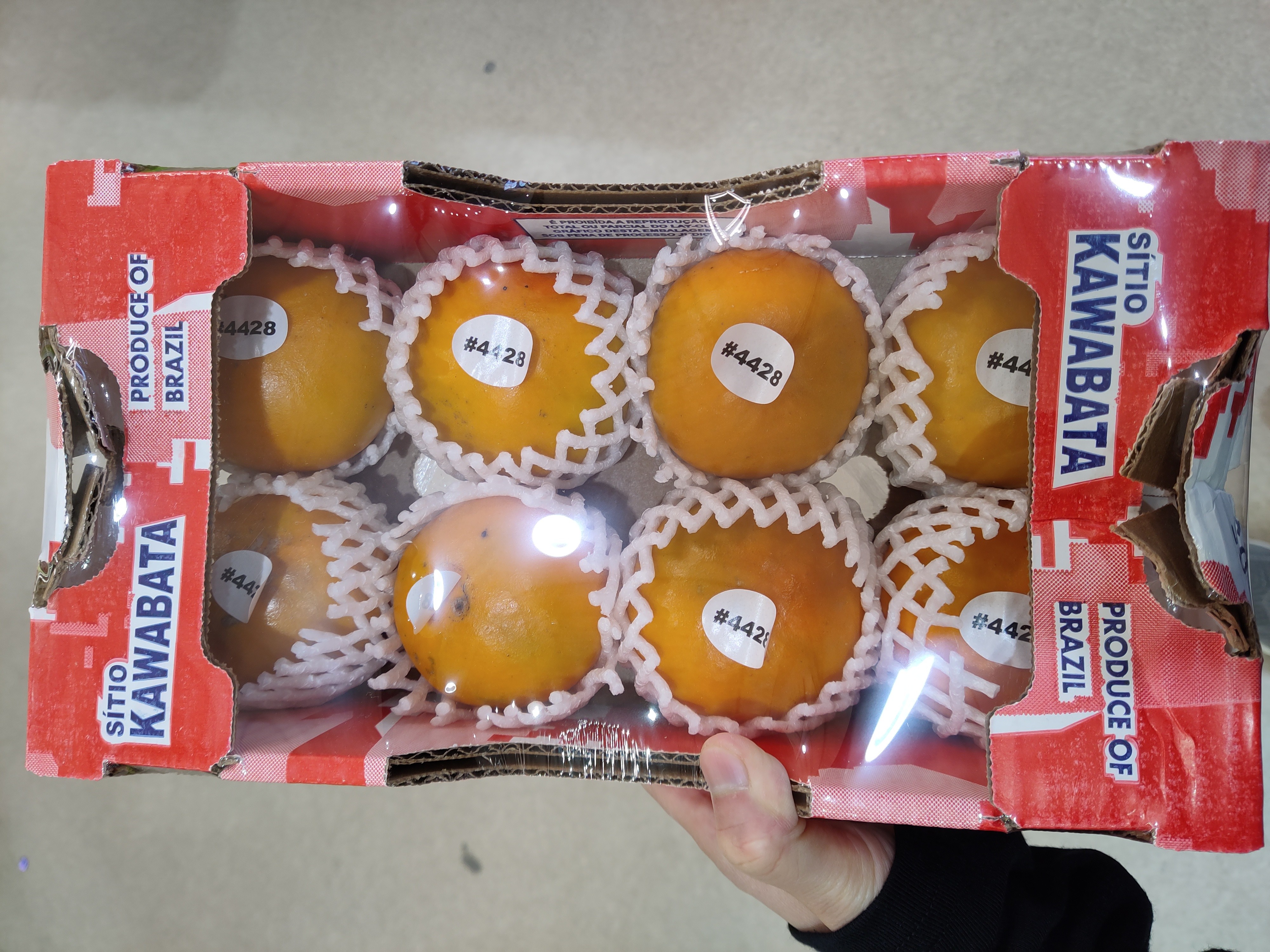 fresh-persimmon-case