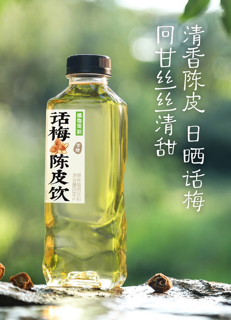zwjd-plant-beverage-preserved-plum-and-dried-orange-peel-flavour
