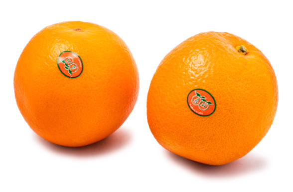 sweet-orange