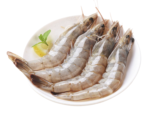 fresh-shrimp-frozen