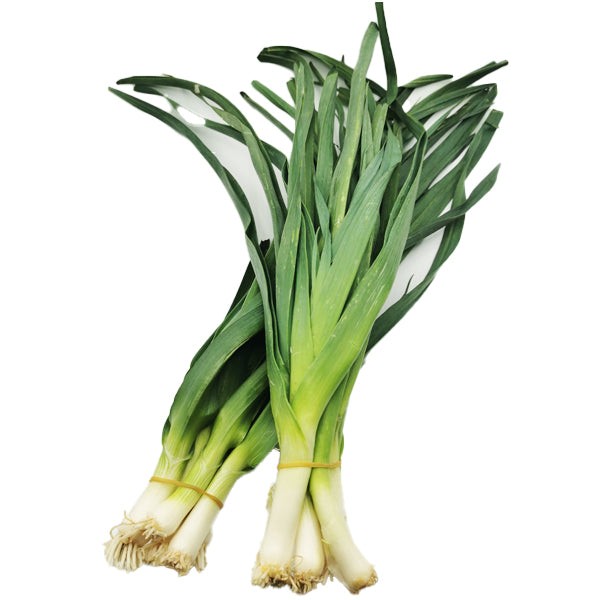 chinese-leek