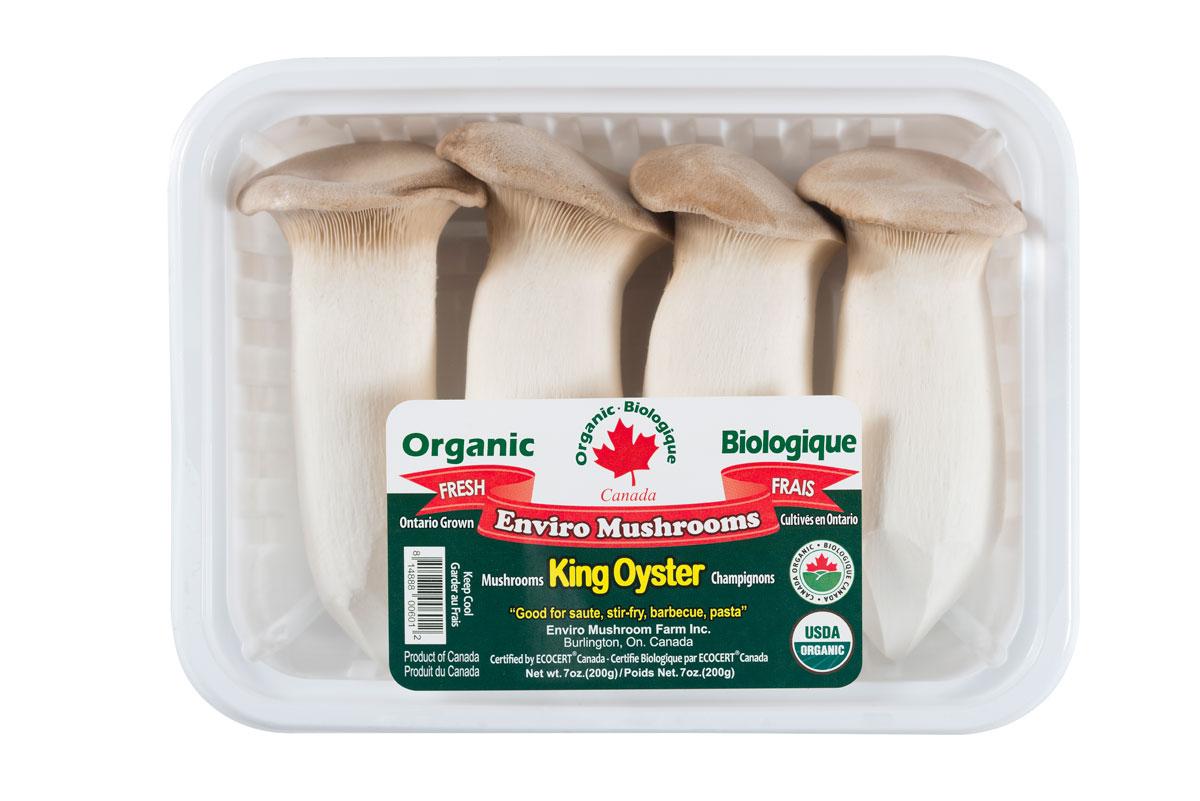 enviro-organic-king-oyster-mushroom