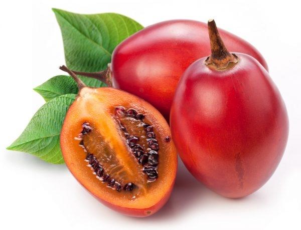 tamarillo-box