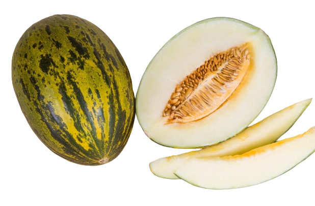 piel-de-sapo-melon