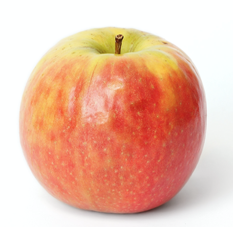 cripps-pink-apple