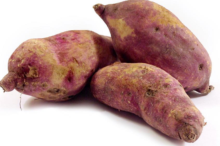 south-american-potato