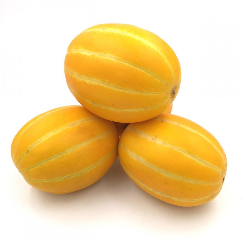 korean-golden-melon-1pcs