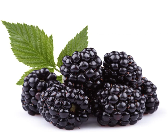 fresh-blackberry-small-box