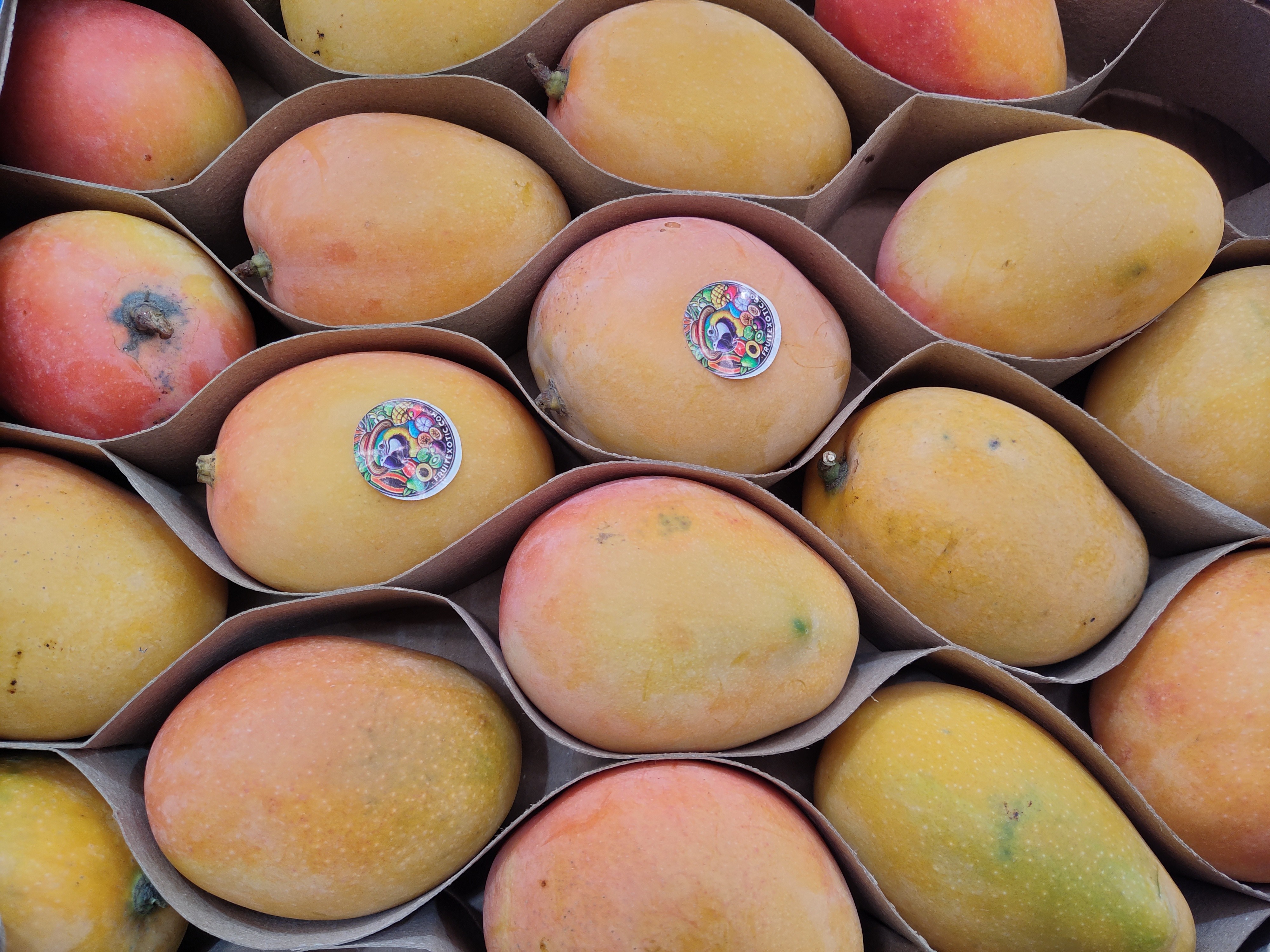 honey-mango