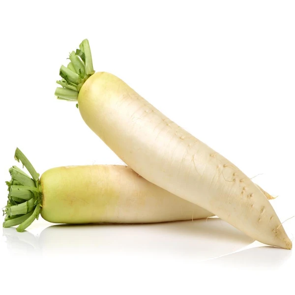 daikon-radish