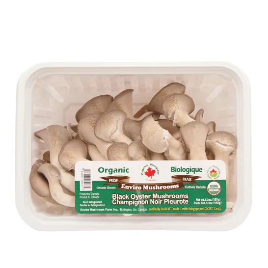 organic-black-oyster-mushroom-pack
