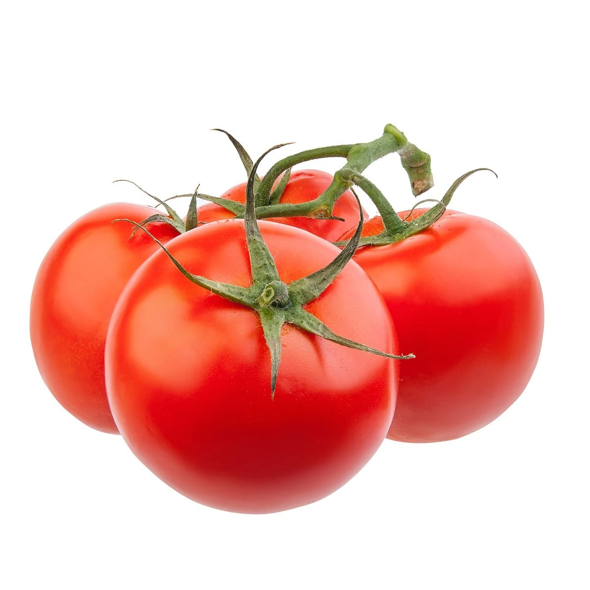 fresh-tomato-on-the-vine