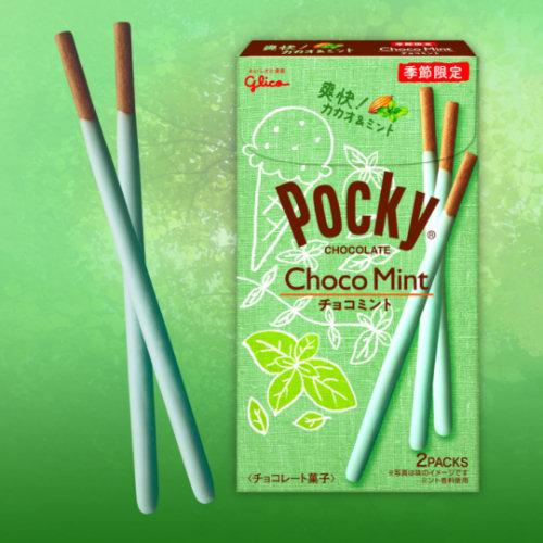 glico-pocky-chocolate-biscuit-sticks-season-limited-choco-mint
