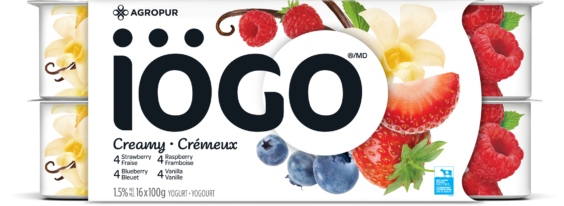 iogo-strawberryblueberryraspberryvanilla-yogurt