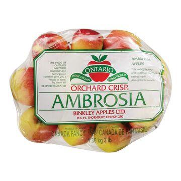 canada-ambrosia-apple