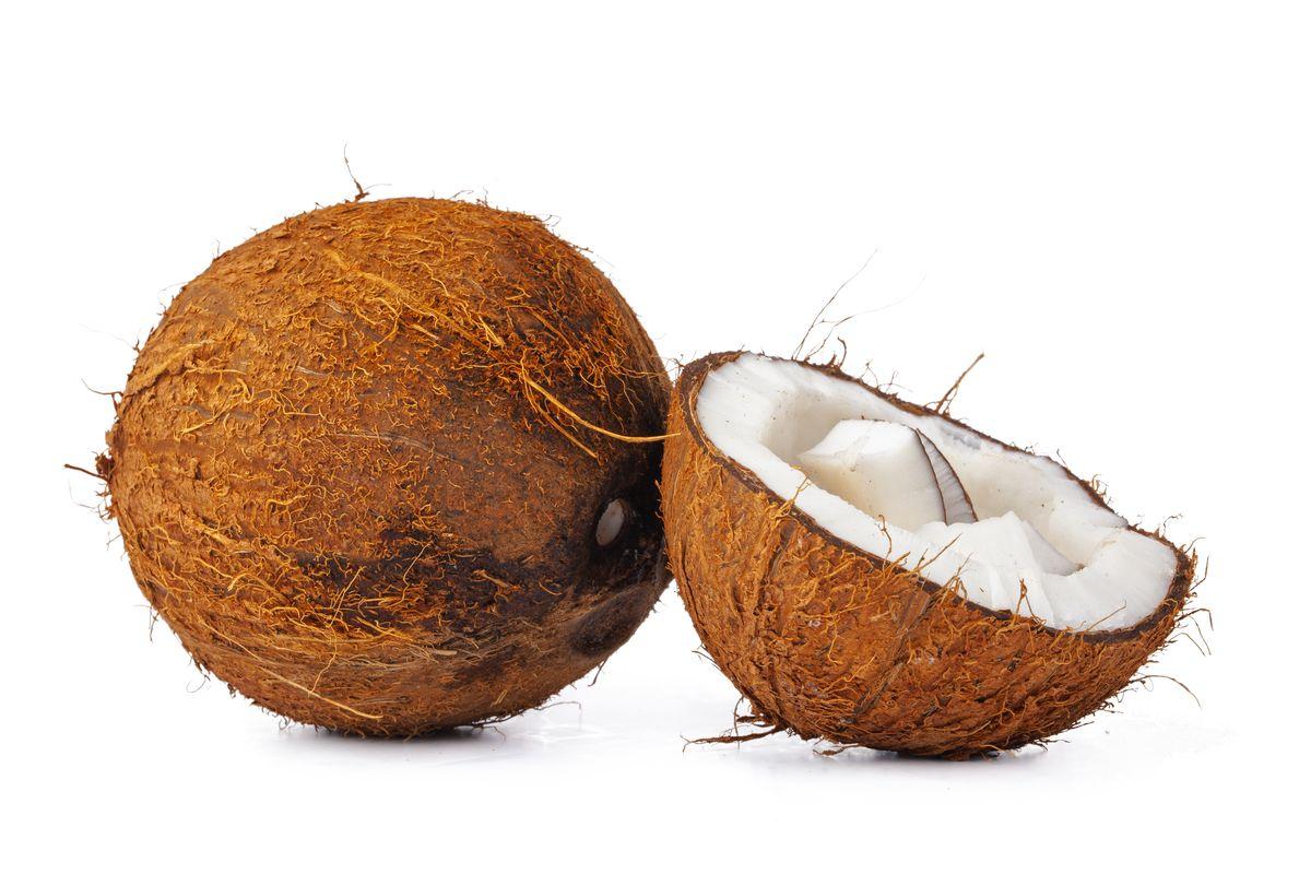 coconut