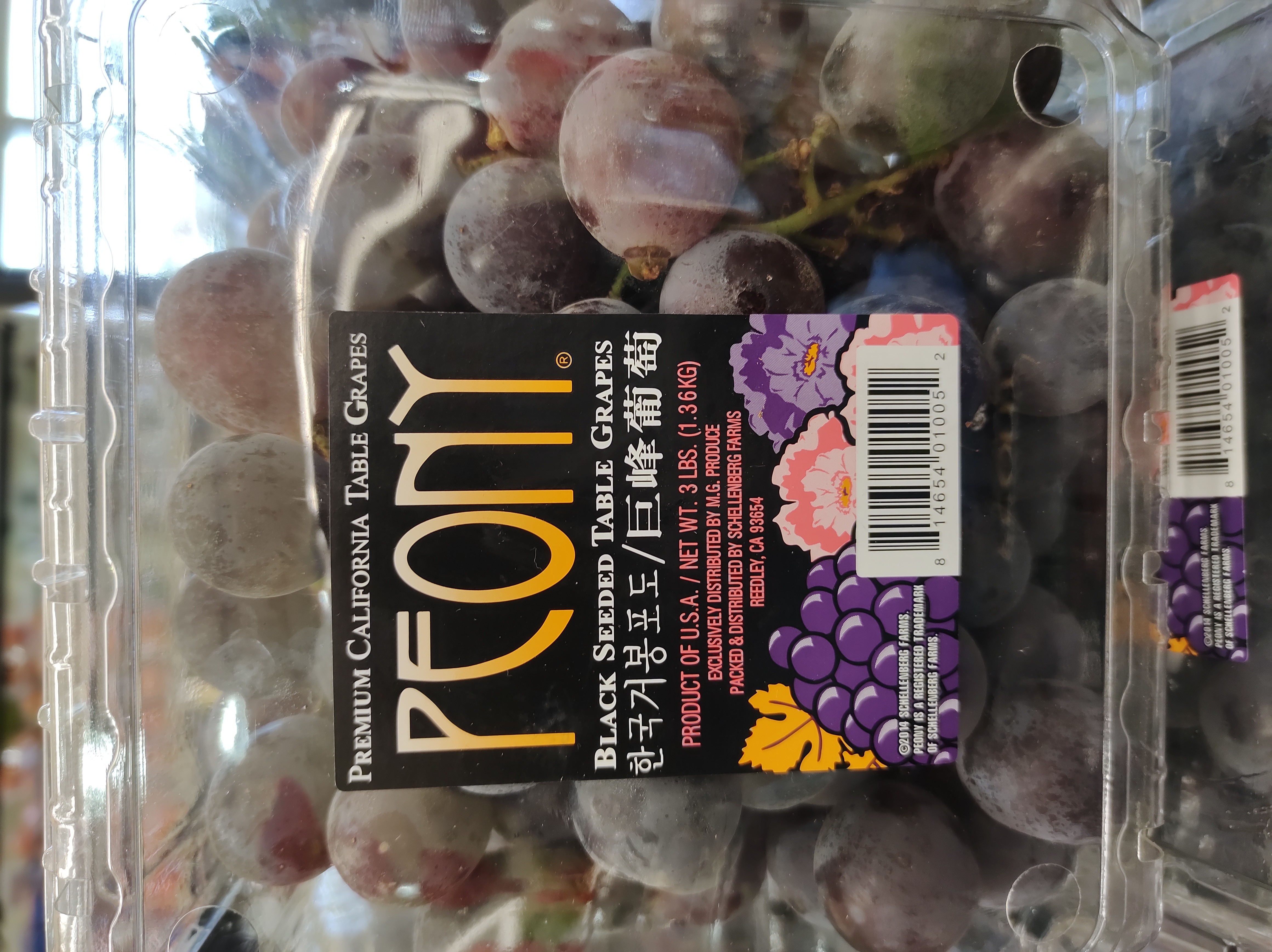 peony-black-seeded-table-grapes