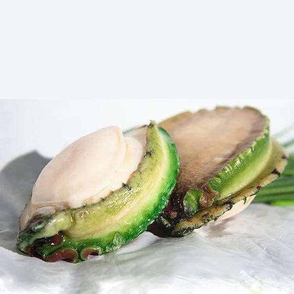 australian-abalone