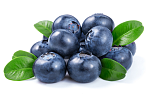 fresh-blueberryblueberry-boxed